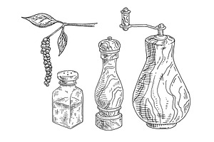 Wood mill, glass salt shaker, pepper, a Food Illustration by MoreVector