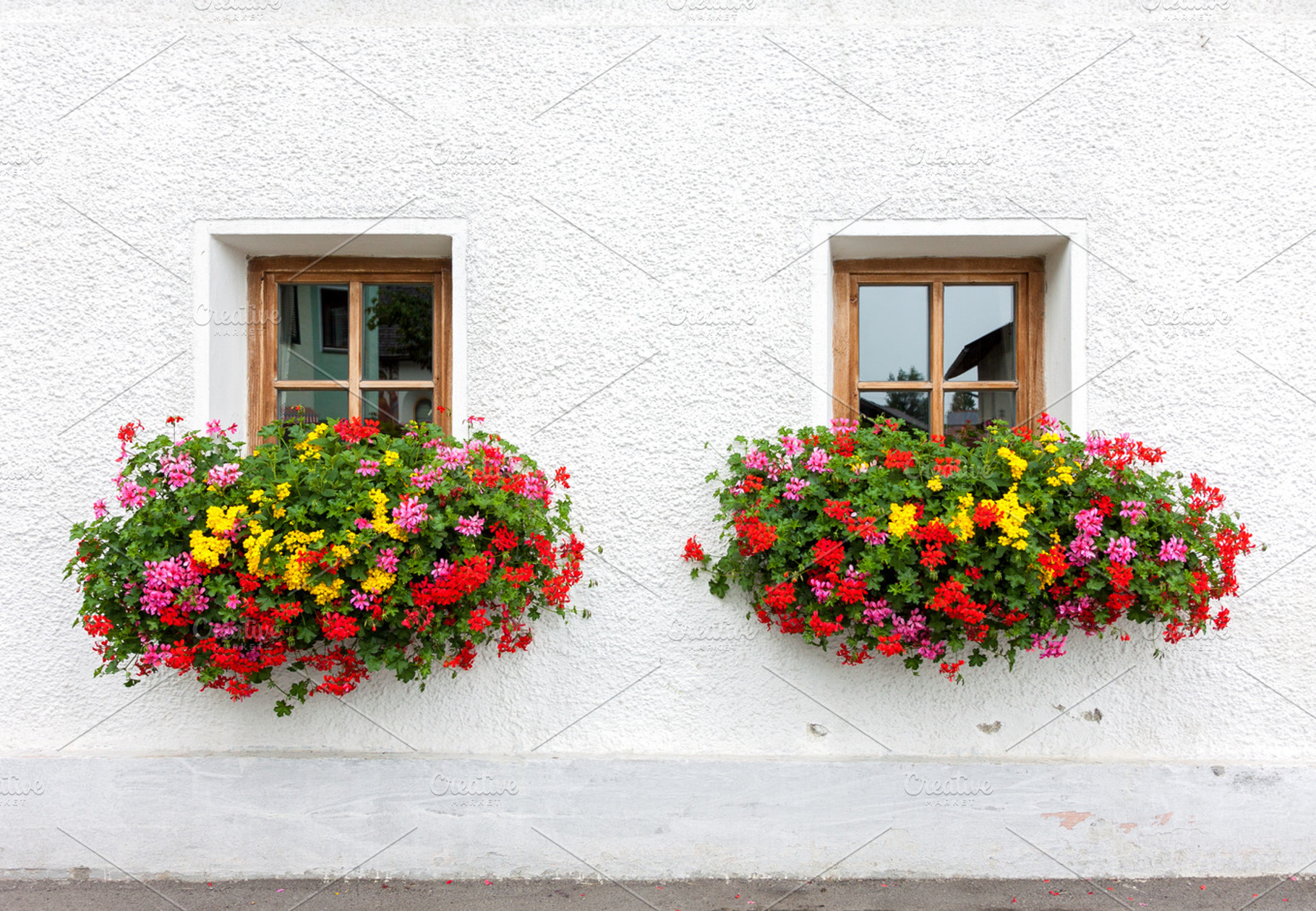 Two windows with flowers, an Architecture Photo by BOOCYS