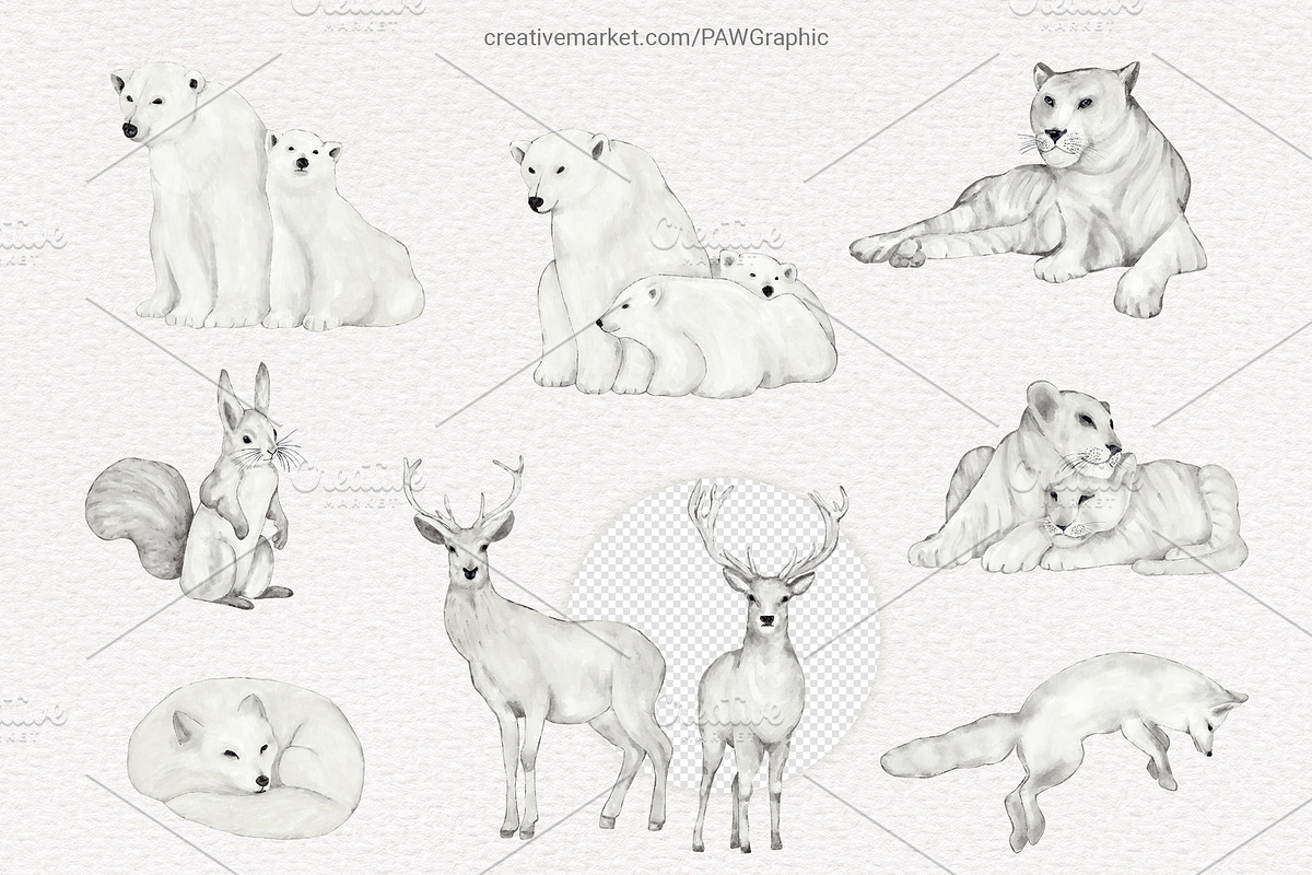 Wild Animals Watercolor Clipart, an Animal Illustration by PawGraphic (Photo 2 of 12)