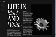 Dark Paradise - Modern Serif Font, a Serif Font by Tropical Type (Thumbnail 5 of 11)