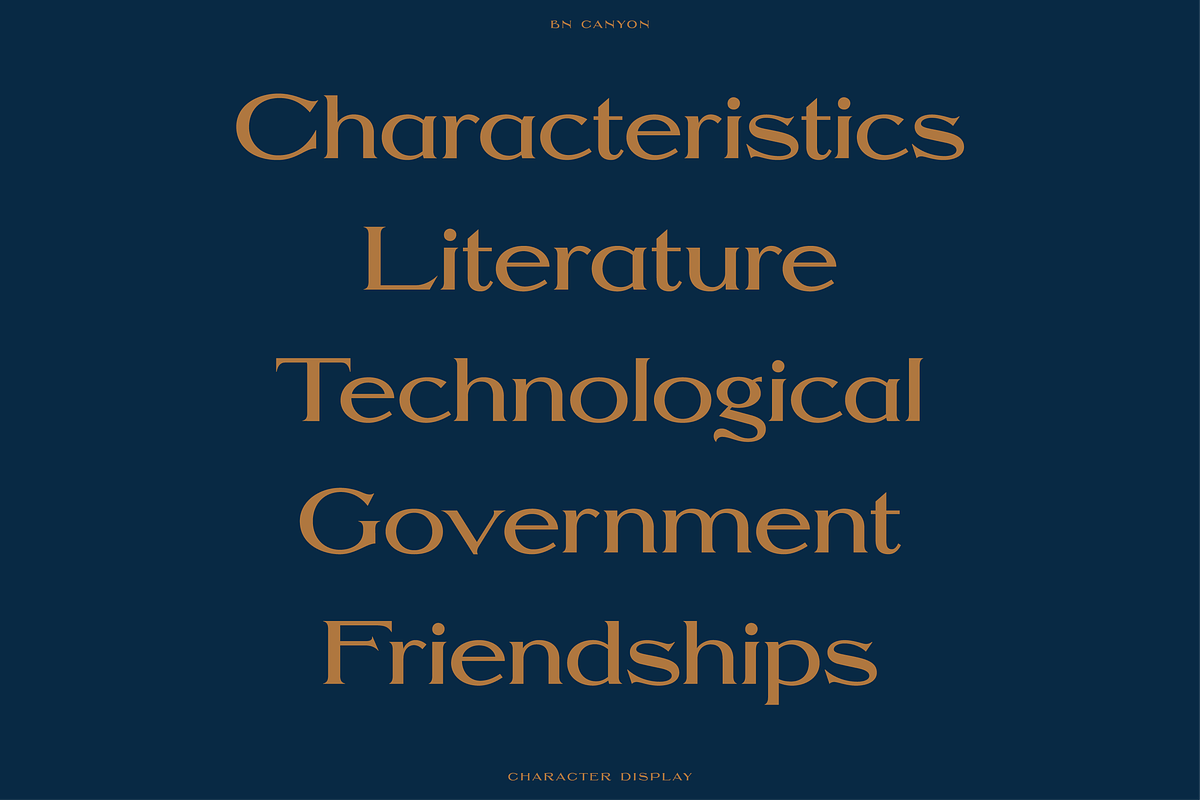 Canyon - An Elegant Serif Typeface, a Sans Serif Font by Bnick (Photo 4 of 9)