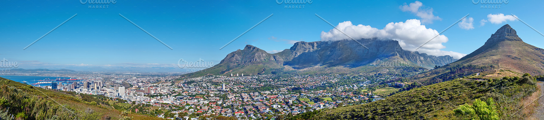 Lion's Head, a Photo by Peopleimages.com