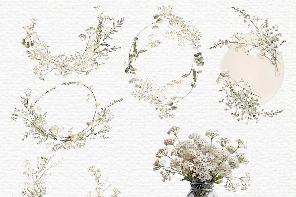 Gypsophila clipart, Baby Breath PNG, a Decorative Illustration by Invite to Clipart (Photo 6 of 7)