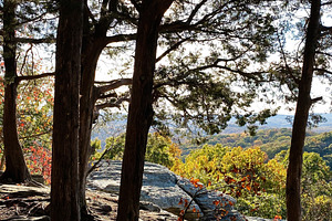 Sunlit overlook among trees on a rocky cliff at Garden of the Gods, Colorado Sp, a Nature Photo by AS photostudio