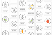 Food value icons package, an Outline Icon by Vineta Rendon (Thumbnail 12 of 12)