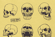 Anatomic Skulls | Vector Pack, a Decorative Illustration by Vecster (Thumbnail 3 of 8)
