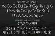 Bekind Sans, a Sans Serif Font by FreshTypeINK (Thumbnail 3 of 8)