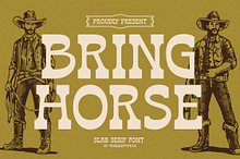 Bring Horse Slab Serif Font by  in Fonts