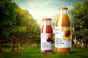 Juice Bottle Mockup Set, a Cups & Container Mockup by Deeplab (Thumbnail 3 of 14)