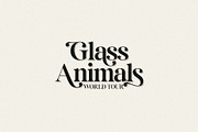 California Coast | Modern Serif, a Serif Font by Jen Wagner Co (Thumbnail 6 of 15)