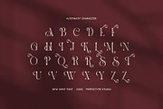 Riukin Elegant Serif Font, a Serif Font by Perfectype (Thumbnail 7 of 8)