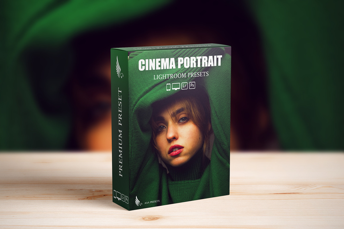 Professional Portrait Photo Presets, a Preset Add-On by AAA Presets (Photo 3 of 21)