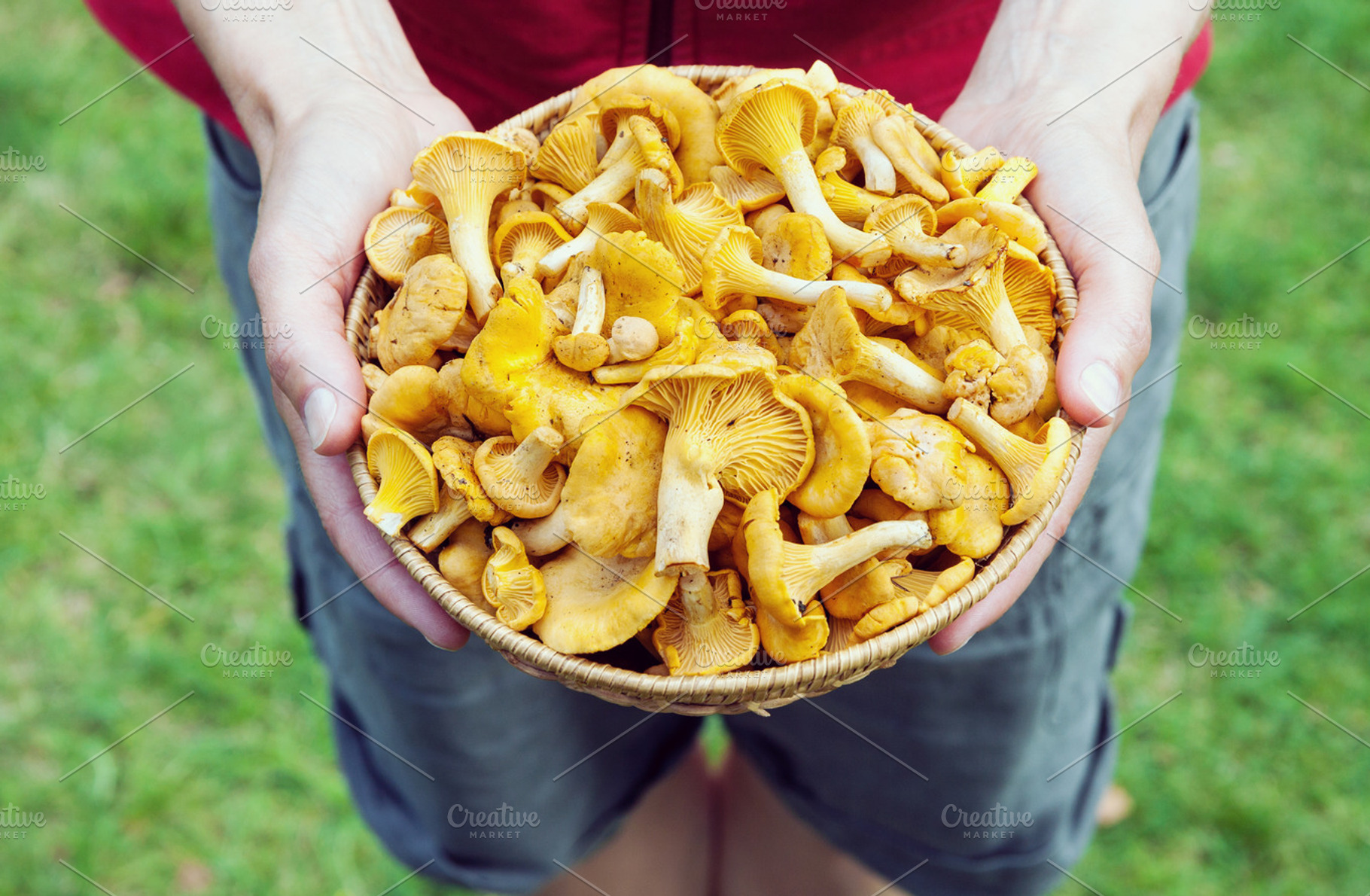 Basket with chanterelle mushrooms, a Food & Drink Photo by BOOCYS