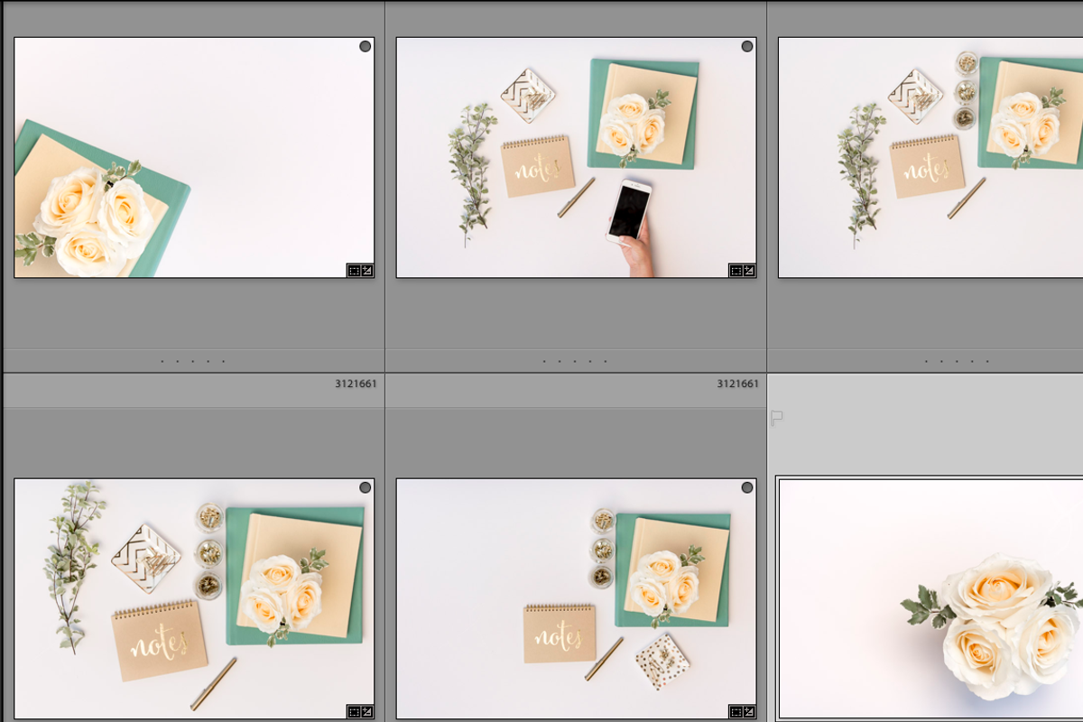 15 Stock Images with White Roses, a Templates & Theme by Cohesive Market (Photo 2 of 3)
