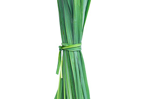 Lemon grass leaf stock photo containing leaf and grass