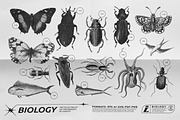 125 Vector Bitmap Assets. Biology, a Graphic by Vanzyst (Thumbnail 11 of 16)
