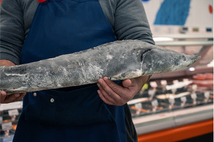 Male fishmonger or fish market, a Food & Drink Photo by Jan Jack Russo Media