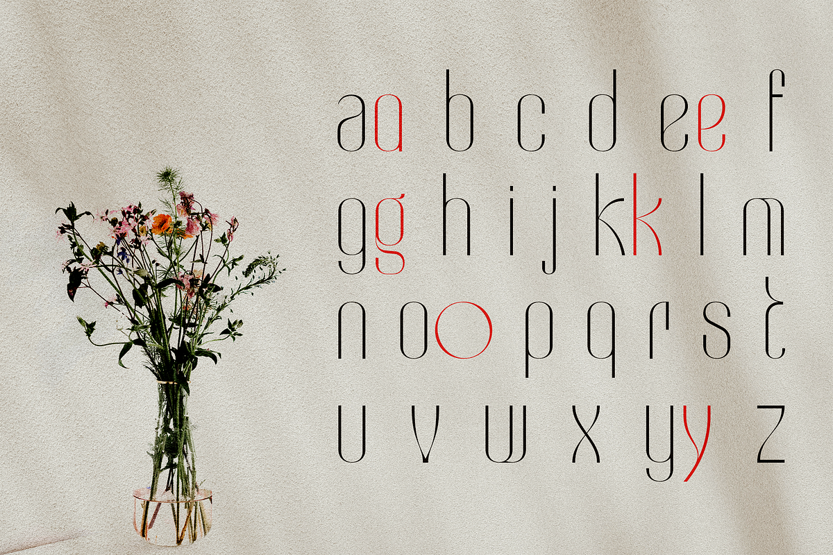 Suorva-Display Fontface, a Sans Serif Font by Sign Studio (Photo 10 of 10)