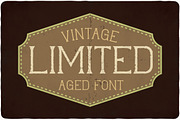 Limited typeface, a Symbol Font by VozzyStock (Thumbnail 6 of 7)