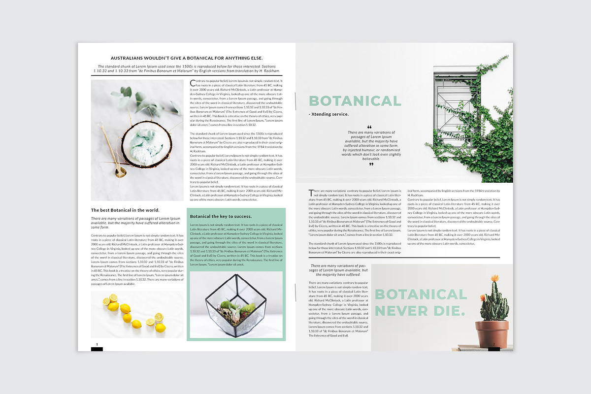 Botanical Newsletter Template, a Stationery Template by Amit Debnath (Photo 3 of 7)