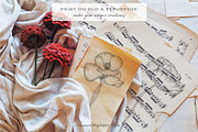 Sketch Pencil Poppy Flowers, an Illustration by Pigment Café (Thumbnail 5 of 8)