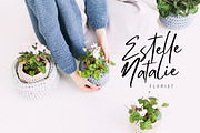 Mistrully Brush Business Font, a Script Font by Creatype Studio (Thumbnail 5 of 5)