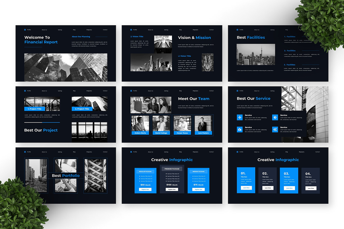 Financial Report - Business Key preview 5