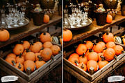 10 Crisp Leaves Lightroom Presets, a Preset Add-On by LucaTheme (Thumbnail 5 of 9)