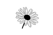 Daisy Flower Line Art Vector Bundle0, an Illustration by jahid234 (Thumbnail 41 of 51)