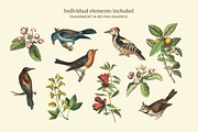 Bird's Garden - Vintage Pattern, a Pattern Graphic by Graphic Goods (Thumbnail 5 of 9)