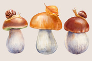 Mushrooms Forest watercolor painting, an Object Illustration by Hanna Hryharenka (Thumbnail 9 of 11)