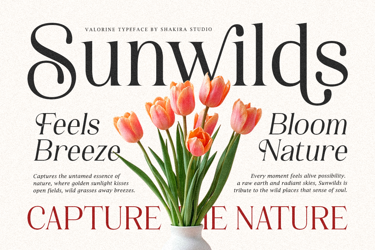 Valorine - Minimal Modern Stylish, a Serif Font by Shakira Studio (Photo 3 of 10)