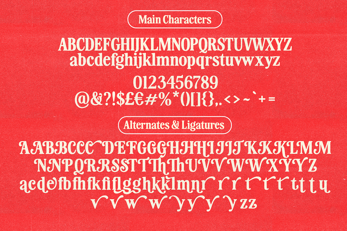 Heartbreak Eighties Retro Serif, a Serif Font by Nicky Laatz (Photo 35 of 35)