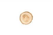 Rustic Wood Slice Vector Clipart Set, an Illustration by BIPLOB EXPERT (Thumbnail 2 of 13)