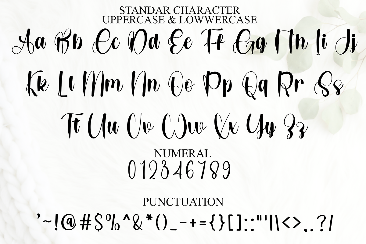 Stylish Handmotion, a Handwritten Font by FreshTypeINK (Photo 7 of 8)