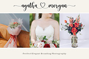 Sophia Bianca | Lovely Fonts, a Script Font by Bosstype Studio (Thumbnail 5 of 10)