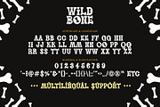 Wild Bone - All Caps Spooky Font, a Serif Font by Airotype (Thumbnail 7 of 8)