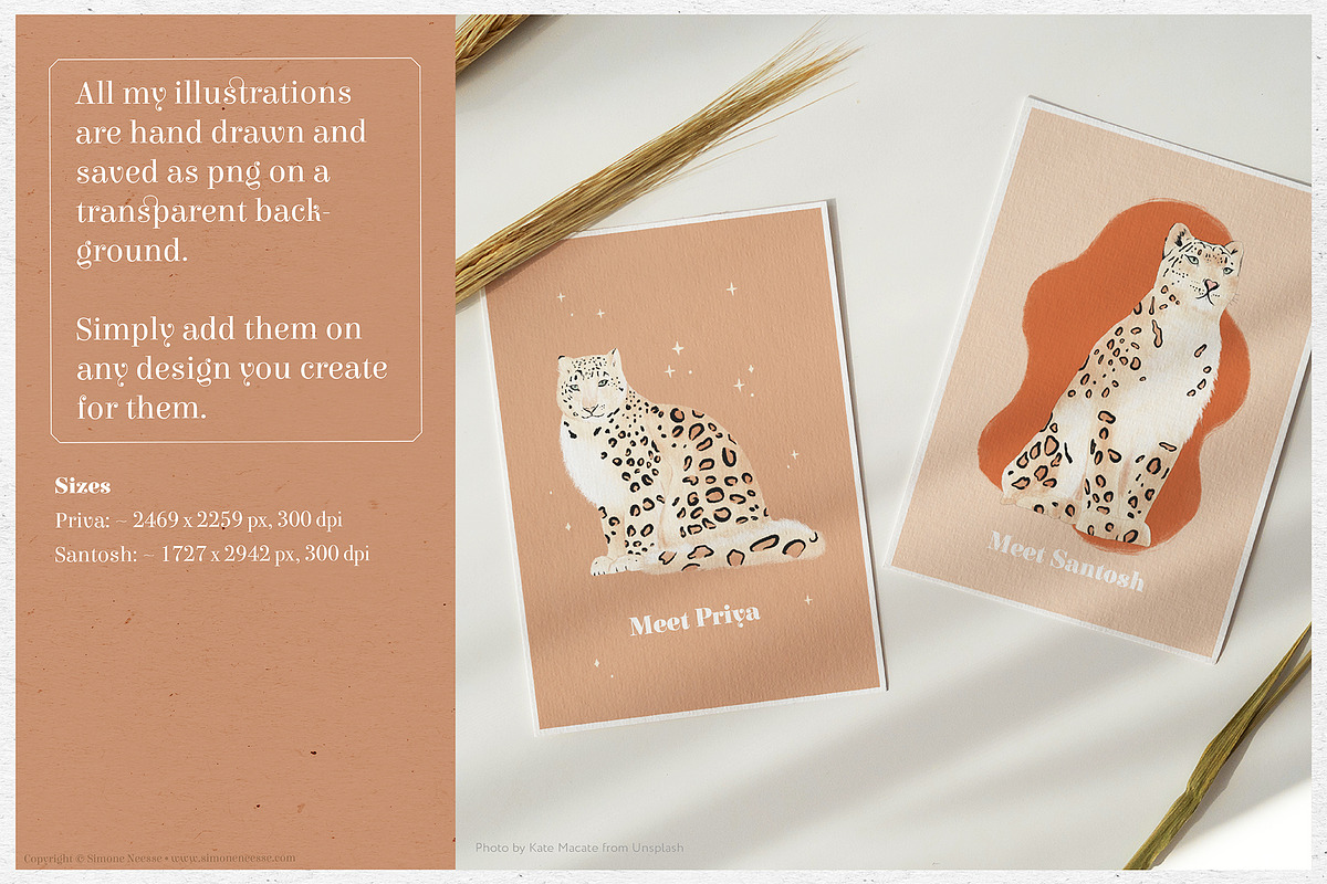 The Mysterious Snow Leopard, an Illustration by Drawn by Simone (Photo 3 of 8)