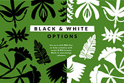 207 FOLK TROPICAL SHAPES AND BORDERS, a Decorative Illustration by Favete Art (Thumbnail 12 of 17)