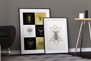 16 Insect symbols and 4 Patterns, an Outline Icon by Anna Smirnova (Thumbnail 6 of 12)