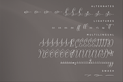 Mendikari Chic Calligraphy Font, a Script Font by Storytype Studio (Thumbnail 14 of 14)