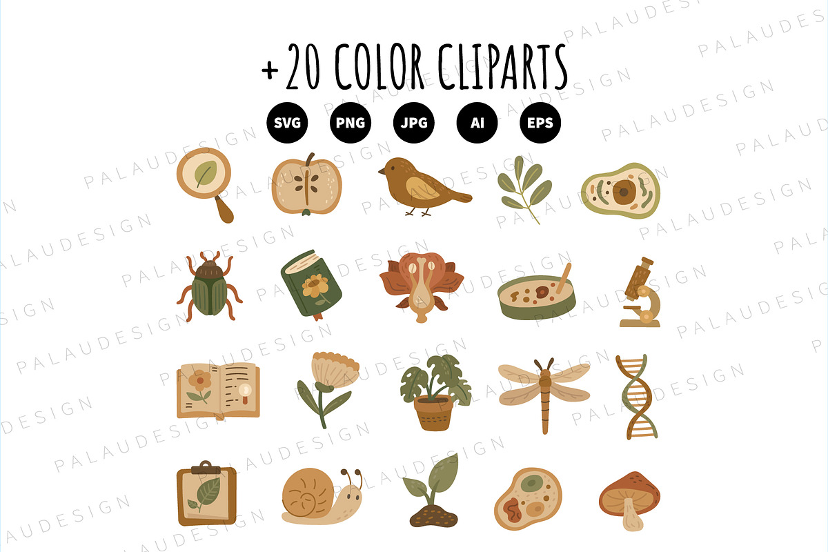 Biology Education Scandinavian Pack, an Education Illustration by Palau (Photo 8 of 10)