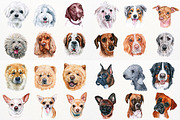 100+ Watercolor Dog Breeds - UPDATE, an Animal Illustration by ArtbyHien (Thumbnail 3 of 9)