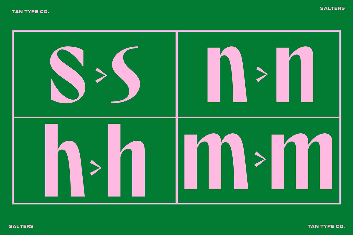 TAN - SALTERS, a Font by TanType (Photo 14 of 14)