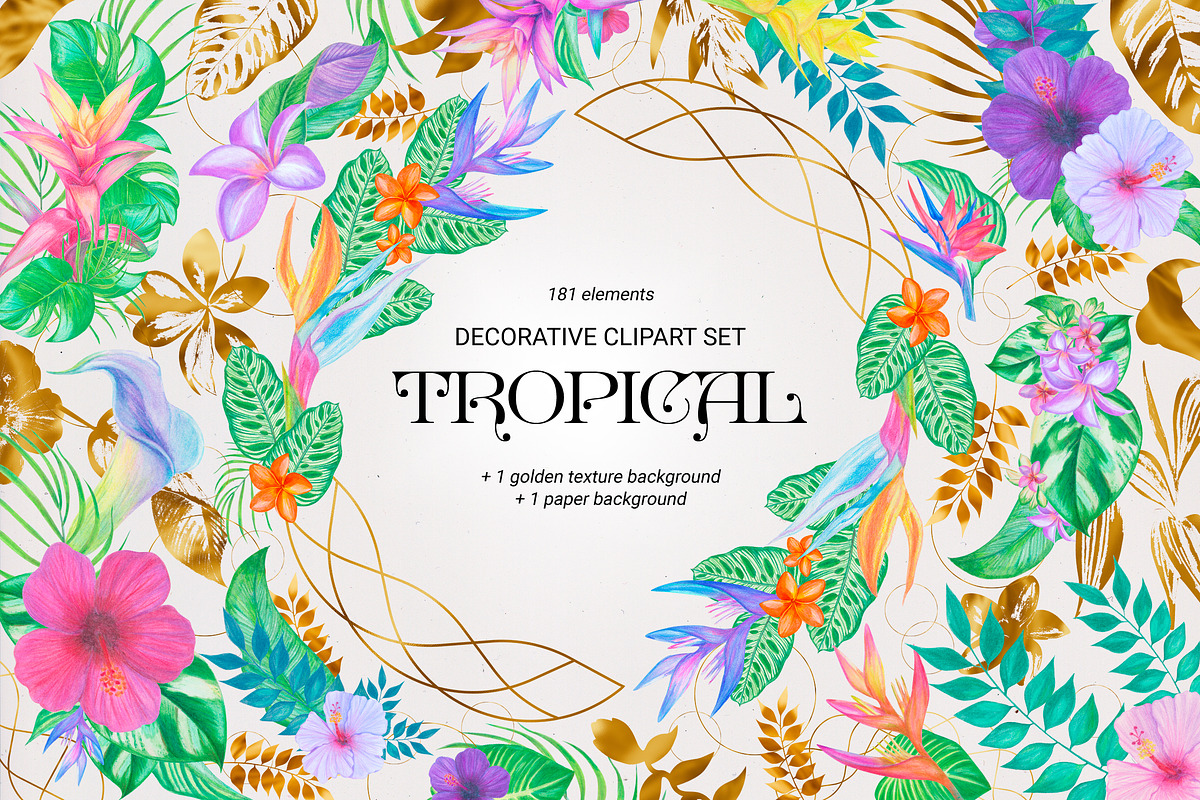 Tropical decorative clipart set, an Object Graphic by LiiaLonn Studio (Photo 7 of 7)
