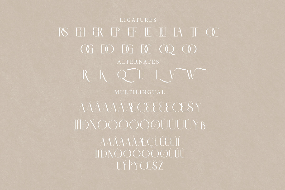 LITERACY Modern and Stylish Serif, a Serif Font by Storytype Studio (Photo 14 of 15)