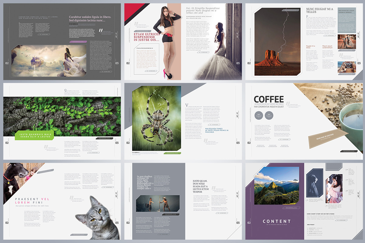 2000+ Magazine Bundle - 97% Off, a Magazine Template by pmvch (Photo 69 of 70)