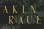 Arkalune - Serif Typeface Font, a Serif Font by Rishsketch (Thumbnail 11 of 15)