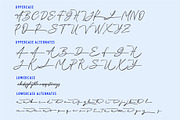 ROYAL HINDIA | Signature Logo Script, a Handwritten Font by Havinkpen (Thumbnail 7 of 8)