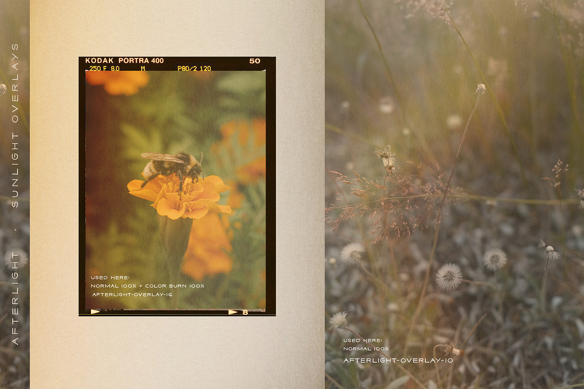 Afterlight - Light Overlays, a Texture Graphic by alonahaidash (Photo 15 of 18)